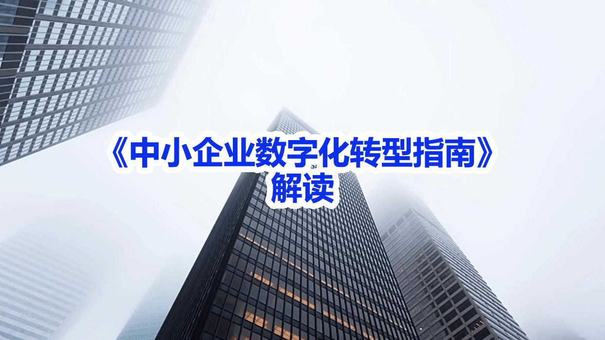《中小企业数字化转型指南》解读 -王昊.jpg
