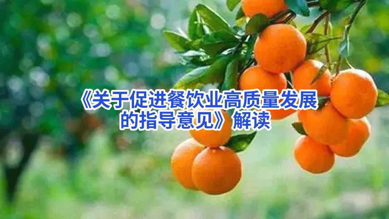 《关于促进餐饮业高质量发展的指导意见》解读 -赵京桥.jpg