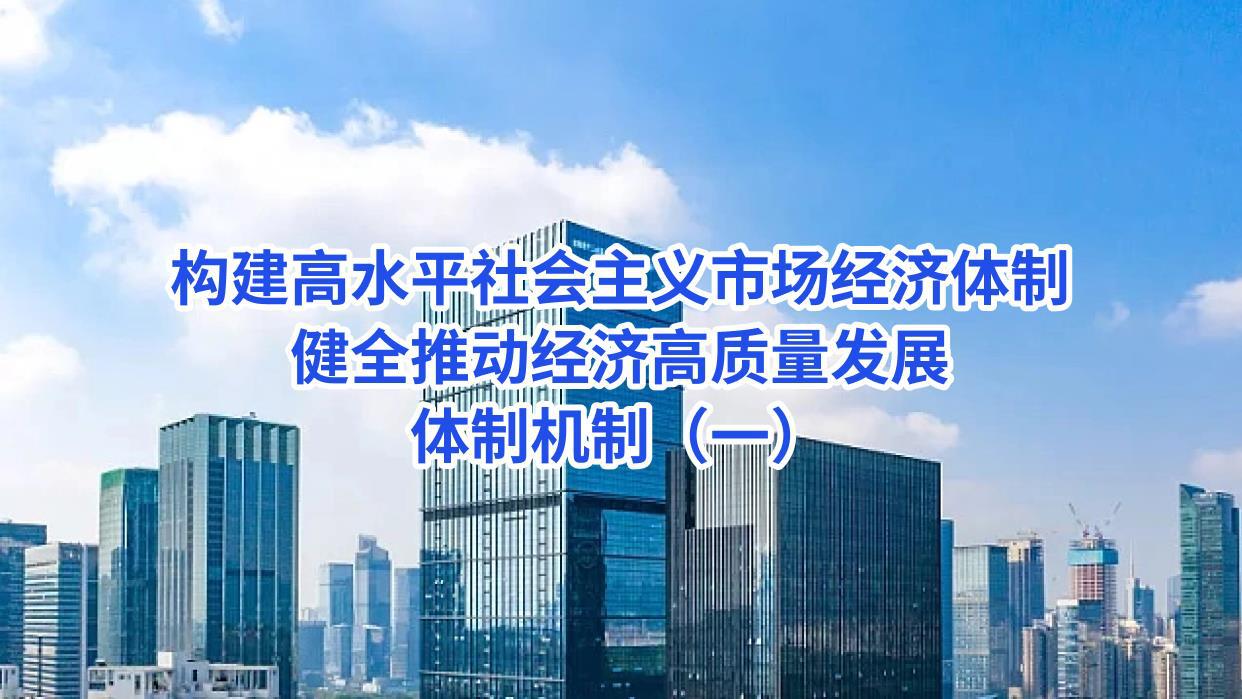 构建高水平社会主义市场经济体制，健全推动经济高质量发展体制机制（一） -张鹏.jpg