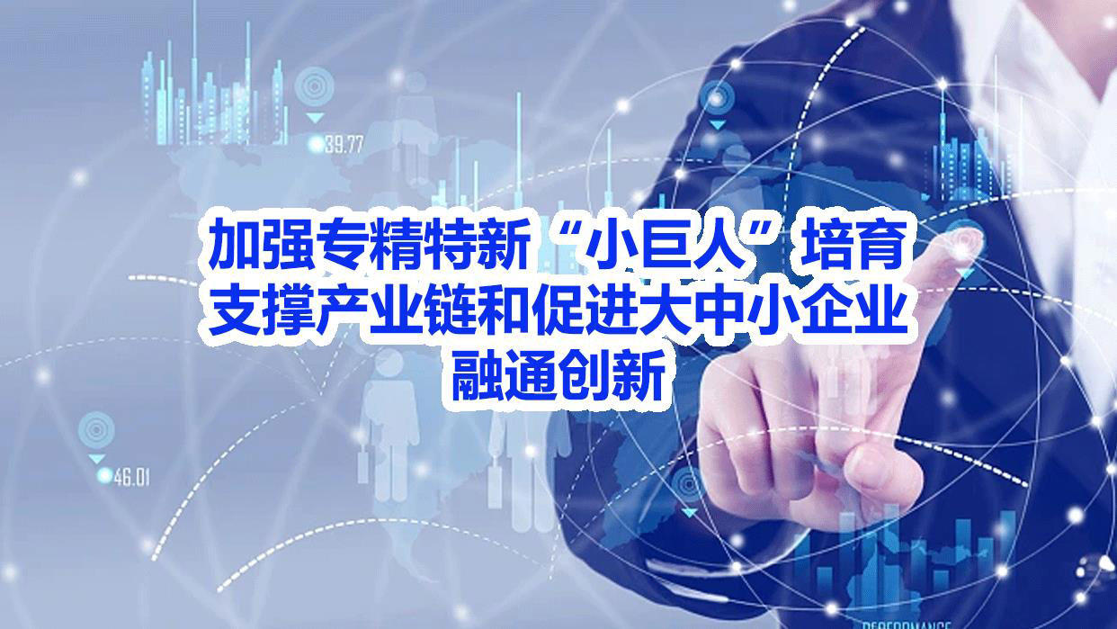 加强专精特新“小巨人”培育，支撑产业链和促进大中小企业融通创新--刘国艳.jpg